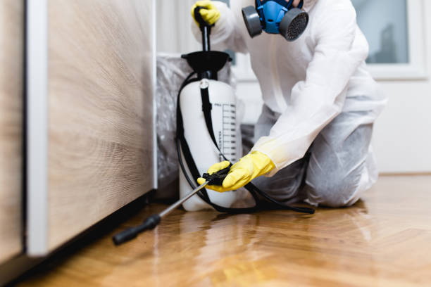 Best Wasp Removal Services  in Decatur, AR