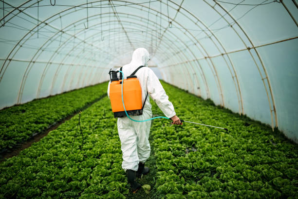 Best Residential Pest Control  in Decatur, AR