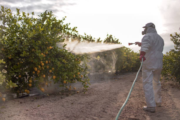 Pest Control Cost in Decatur, AR
