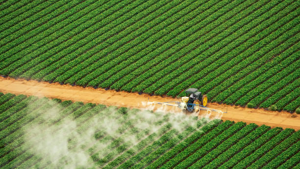 Best Commercial Pest Control Services  in Decatur, AR