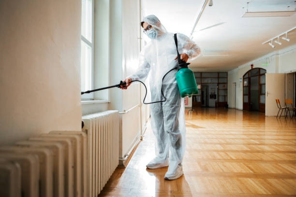 Best Affordable Pest Control Services  in Decatur, AR