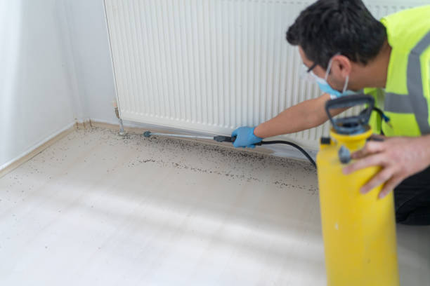 Best Flea Control Services  in Decatur, AR