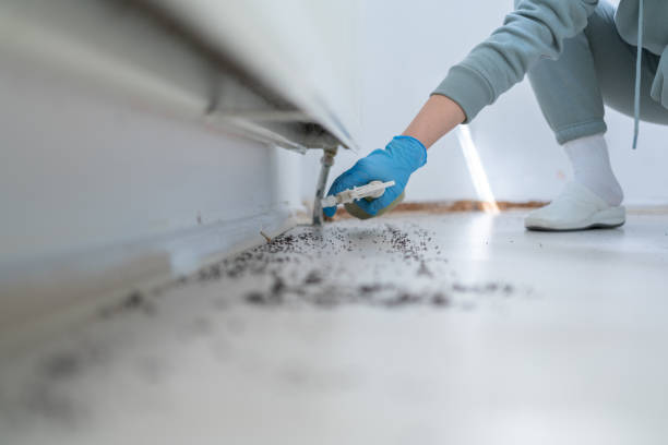 Best Wildlife Control Services  in Decatur, AR